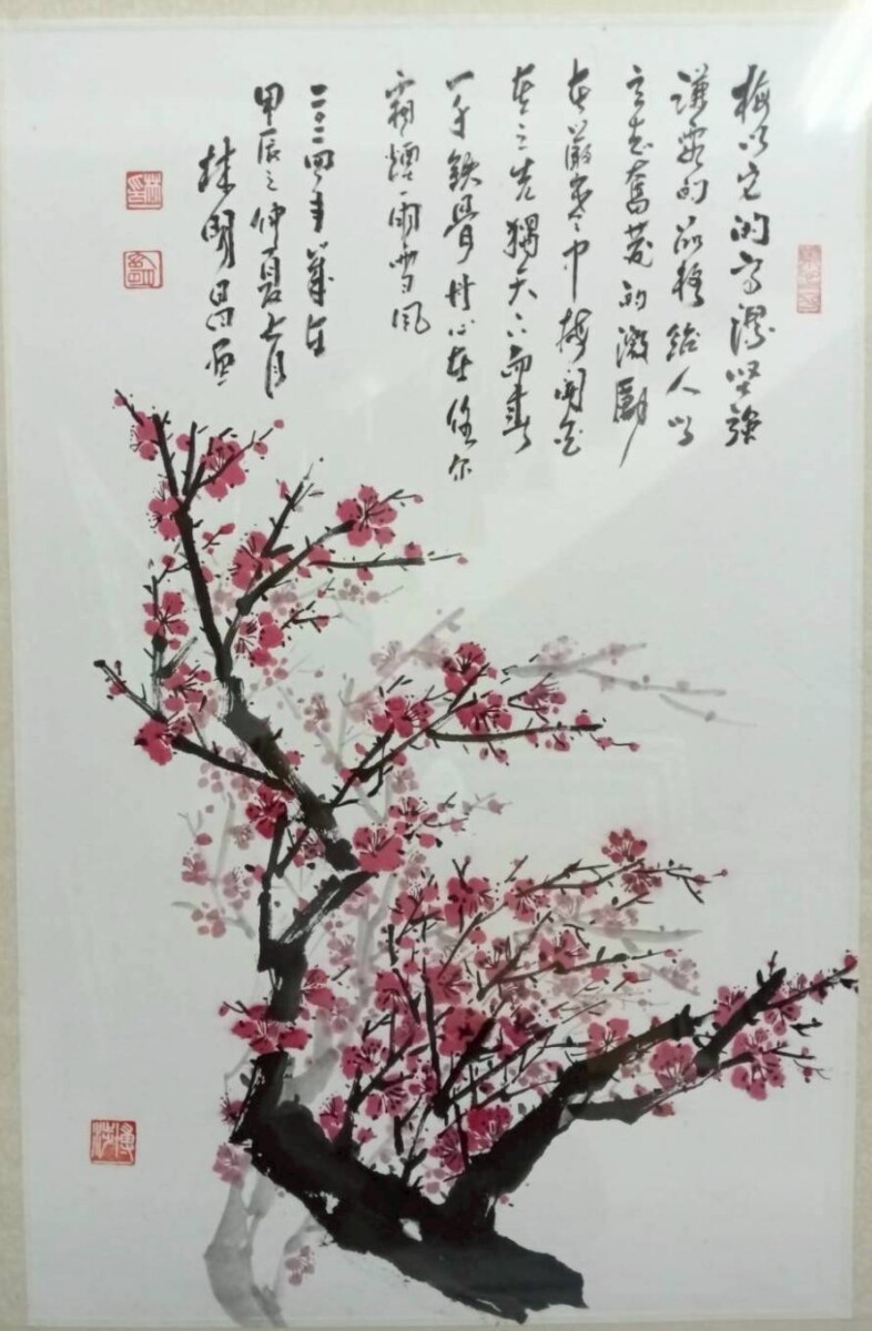 4260196f3a375165c1a26c4e4258a6ed