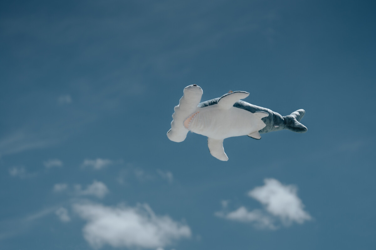 A3802fa1fa26f802196d6859c007e8c2
