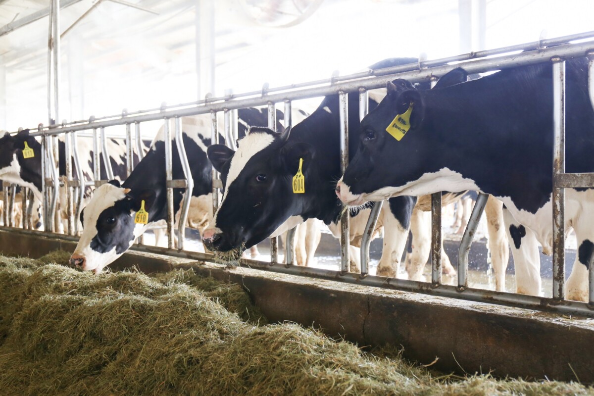 233fdf92576008e19bc8e85ed8379b02