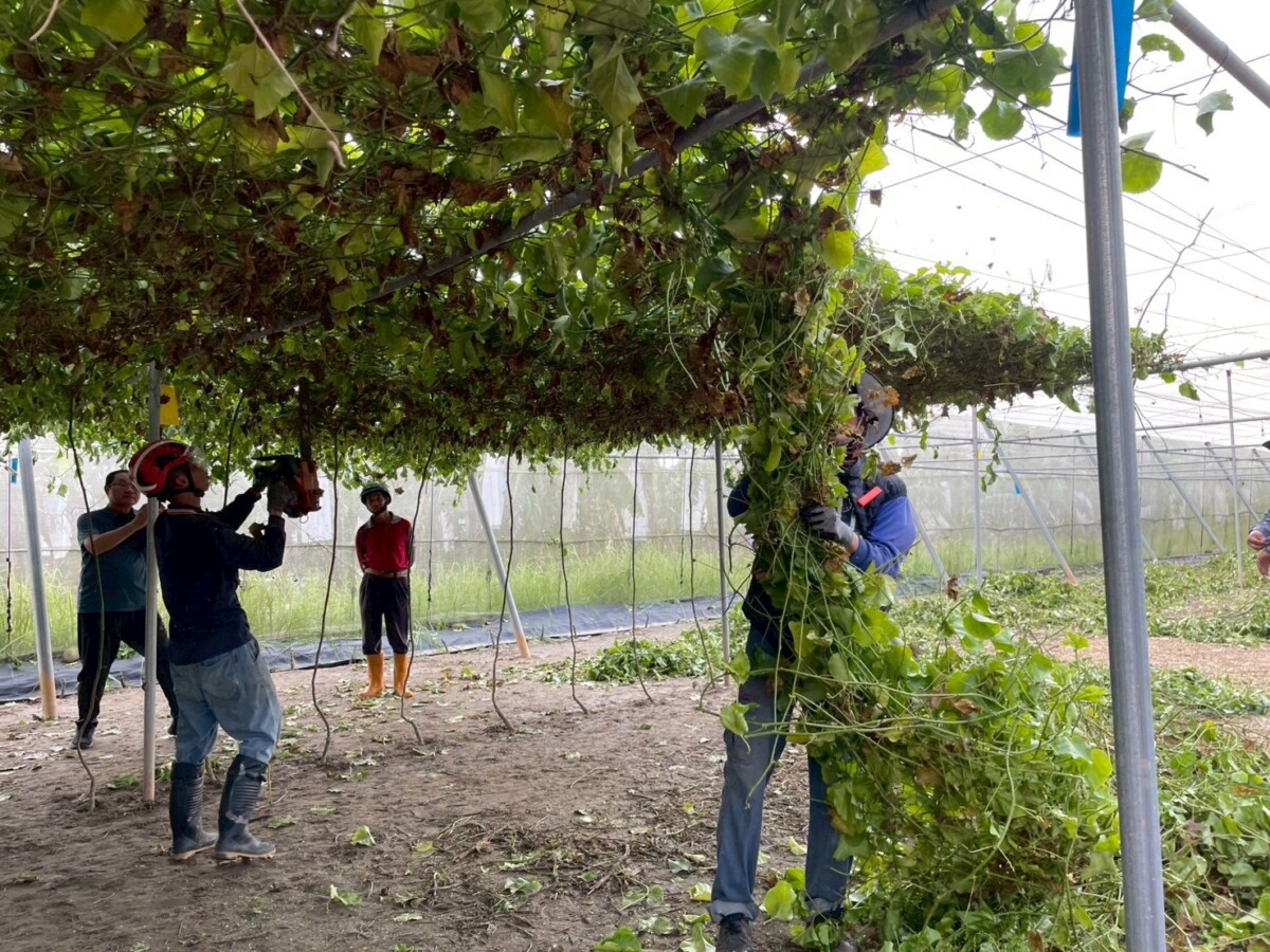 2994182d37eeaa50f1ad1e7a5b4270eb