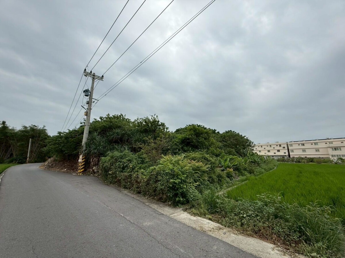 487c8f63a06332ed444ee7c44264a612