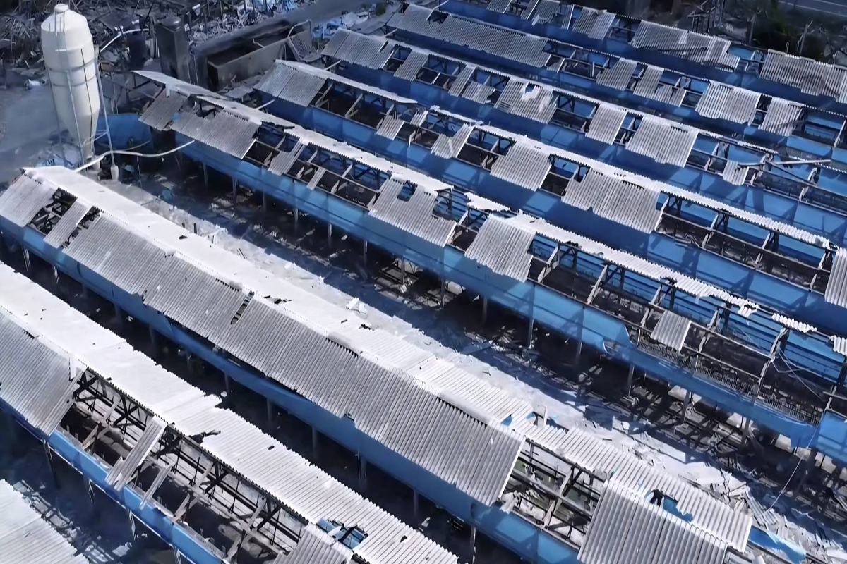 7b01203536e6854ffad9d511b8ea7bb6