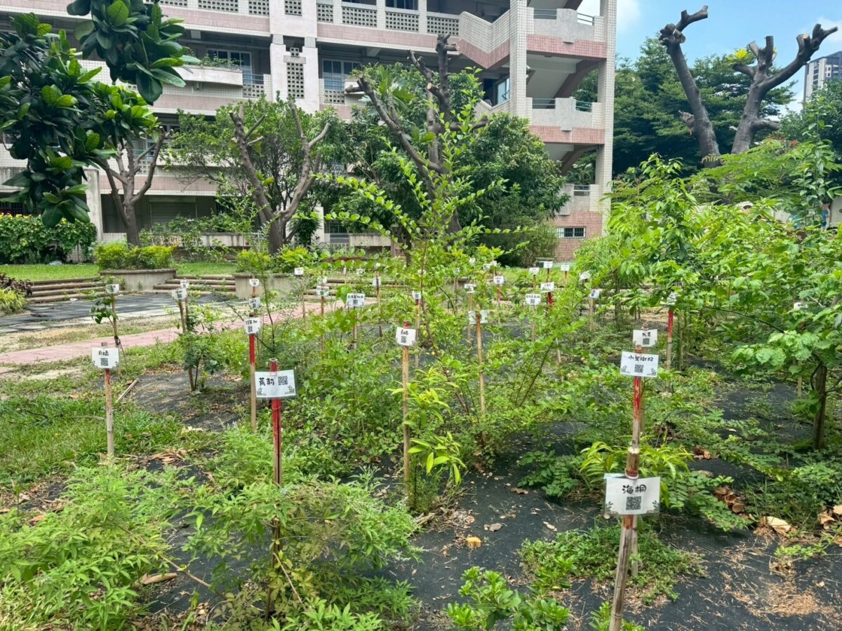從樹苗到森林 台中市教師共同打造淨零綠校園藍圖 90effcec944a023b7e0f67728bc57fcb