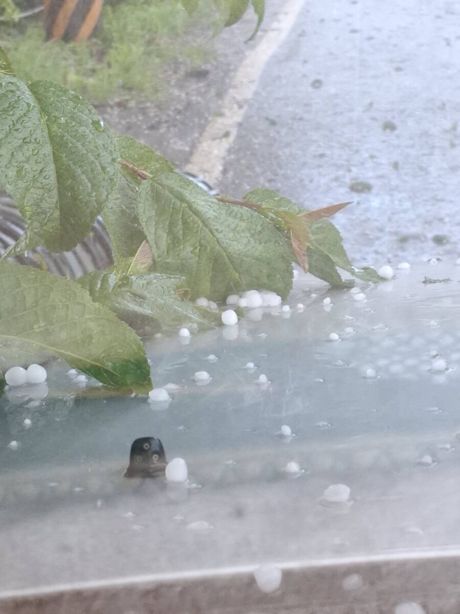 Aa46a48833c23a23f36d432b800cd70b