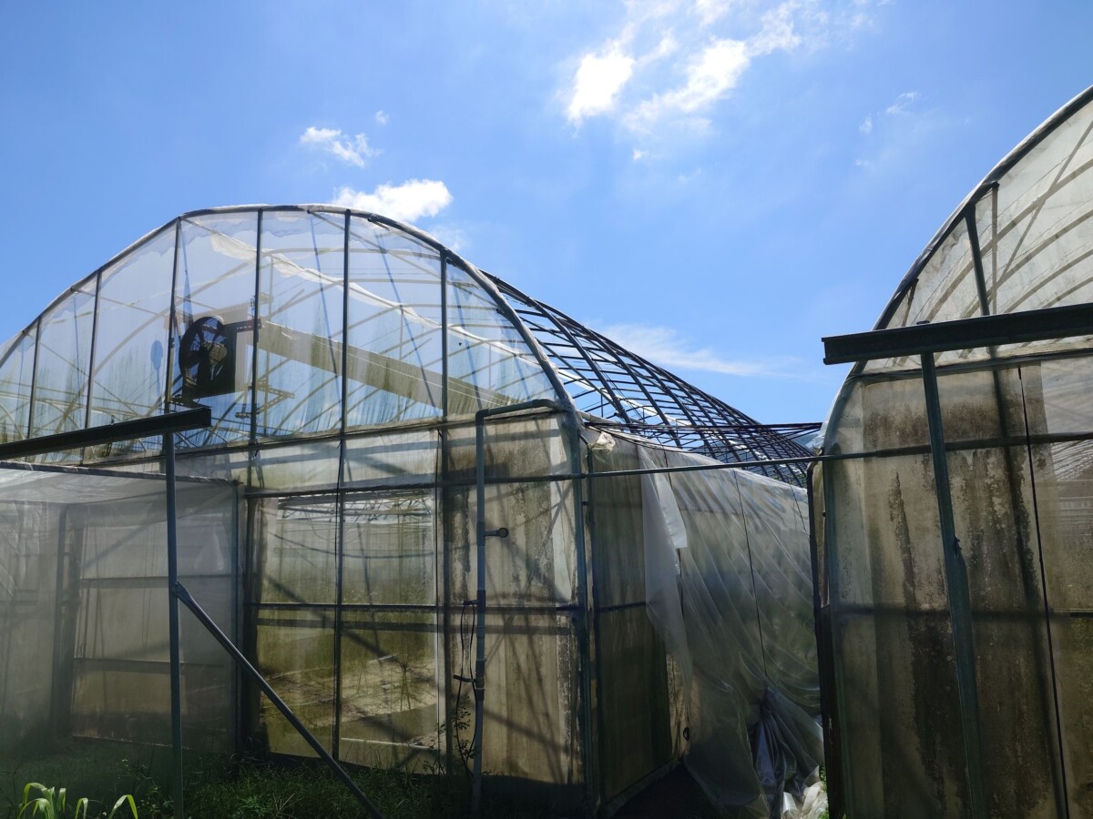 2195dfb8fee5a74862768dc2b1586749