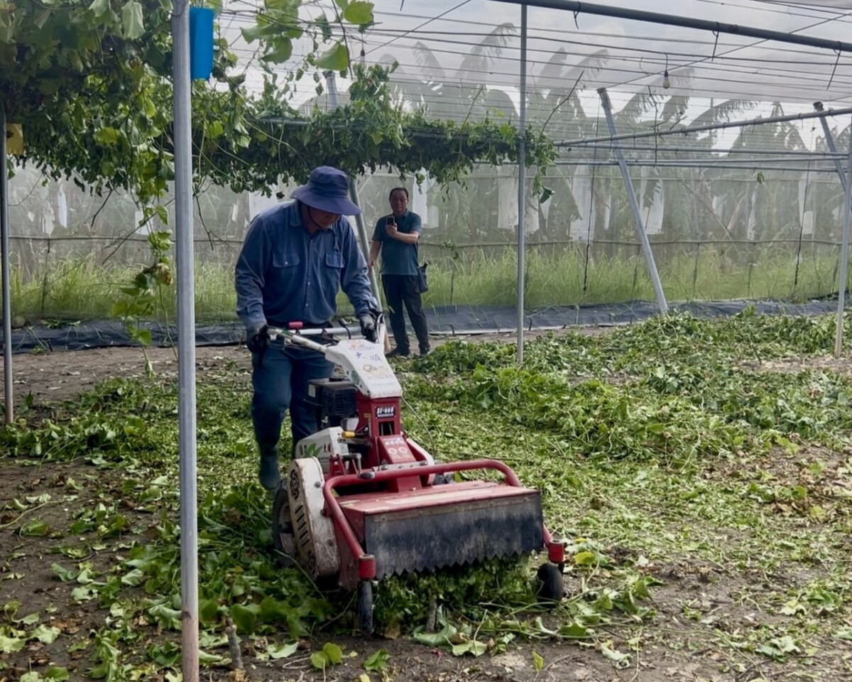 E249b309390294b27089b82d6079bf1c