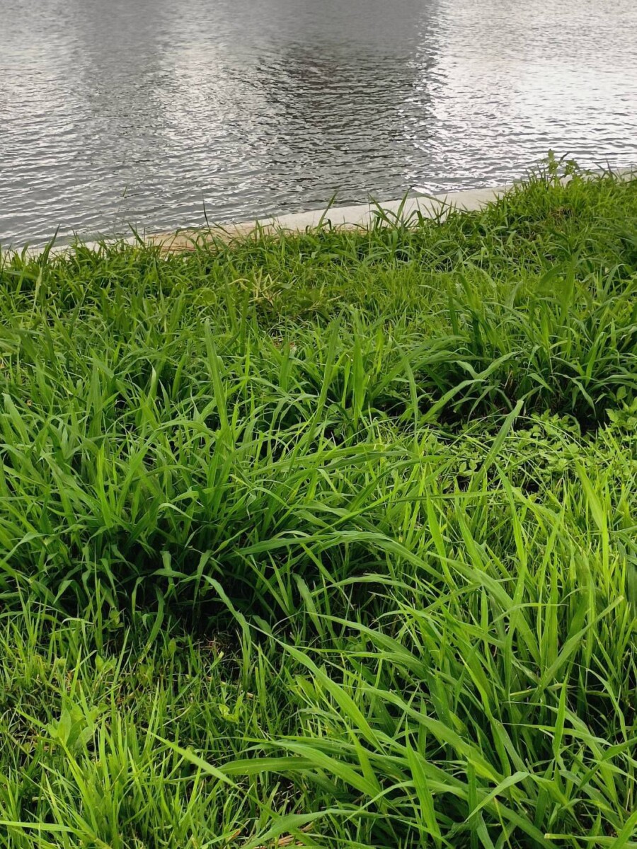 17a804c27f3ca4efba7ab864a99b496c