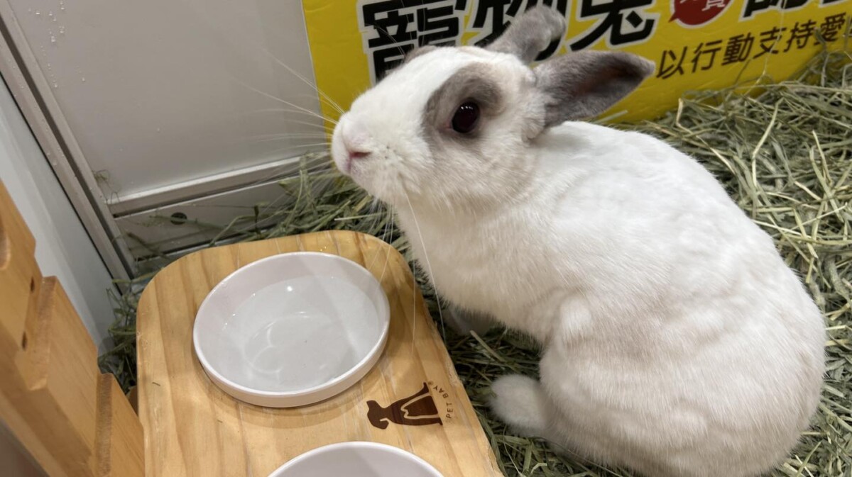 1a7ddacac37bb463c47ceea0e038b51d