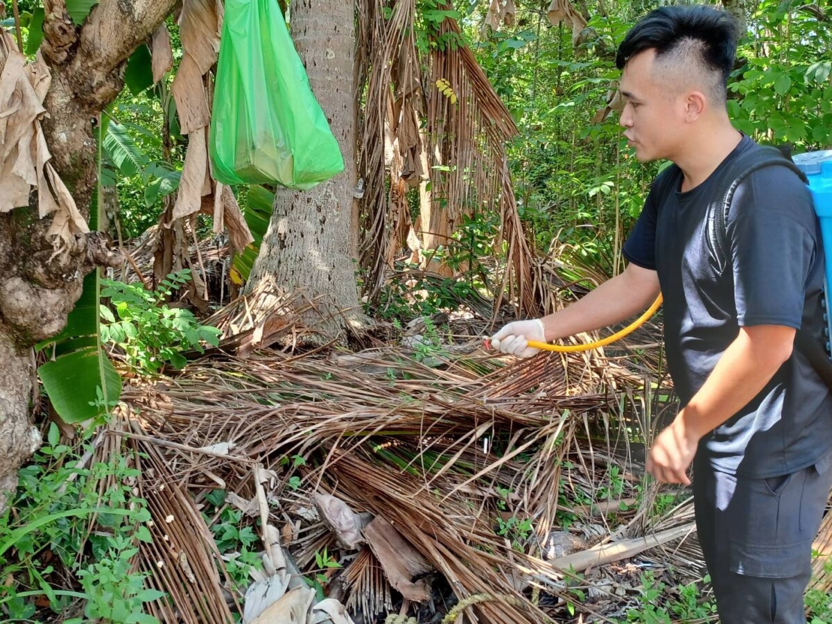 50696c4db289c7642254333abb8a106c