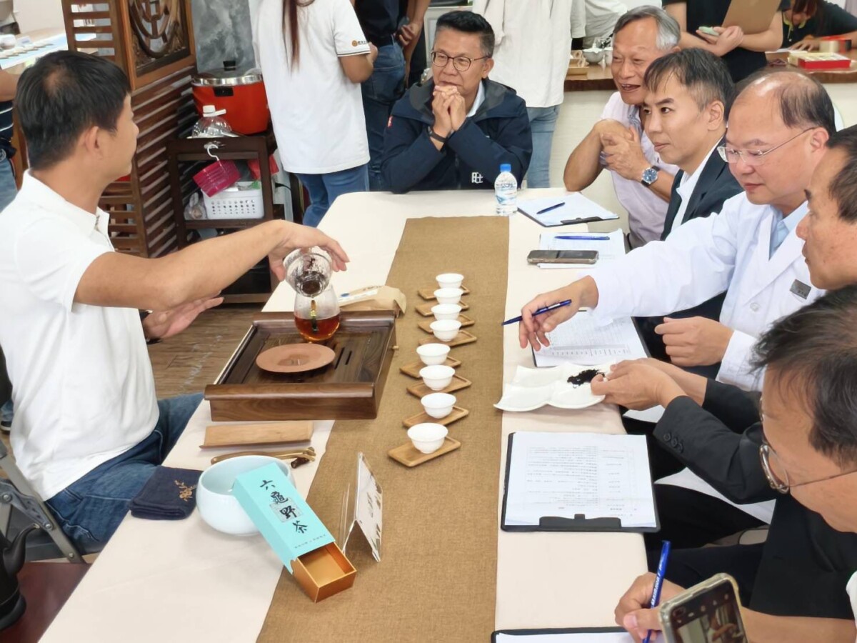 高雄山茶評鑑啟動 風味輪揭示多元茶韻新風貌 6bcdeb107cab54b037dea896da3ca3d4