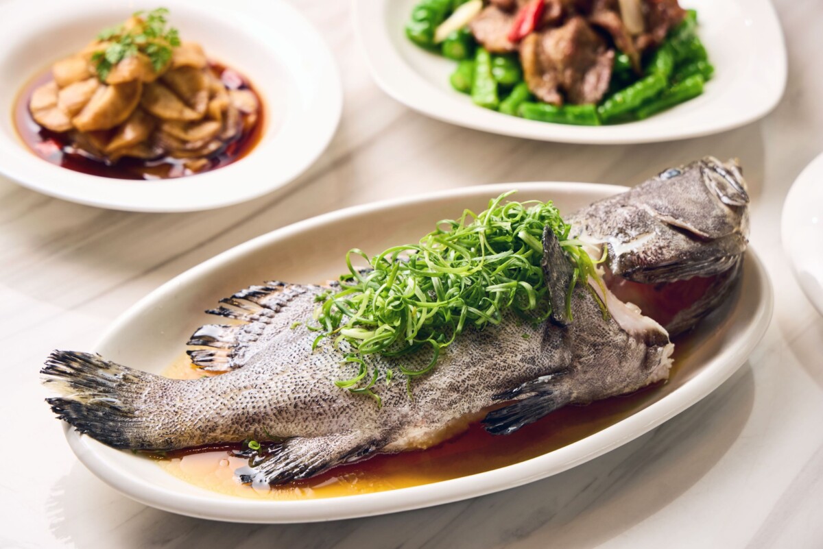 85c641867205071328454f9202e1a2e4