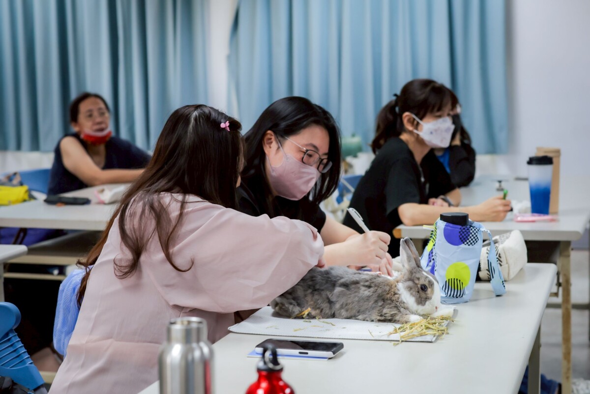 A0ffde6fbedfbdbbcec72b53051869f8