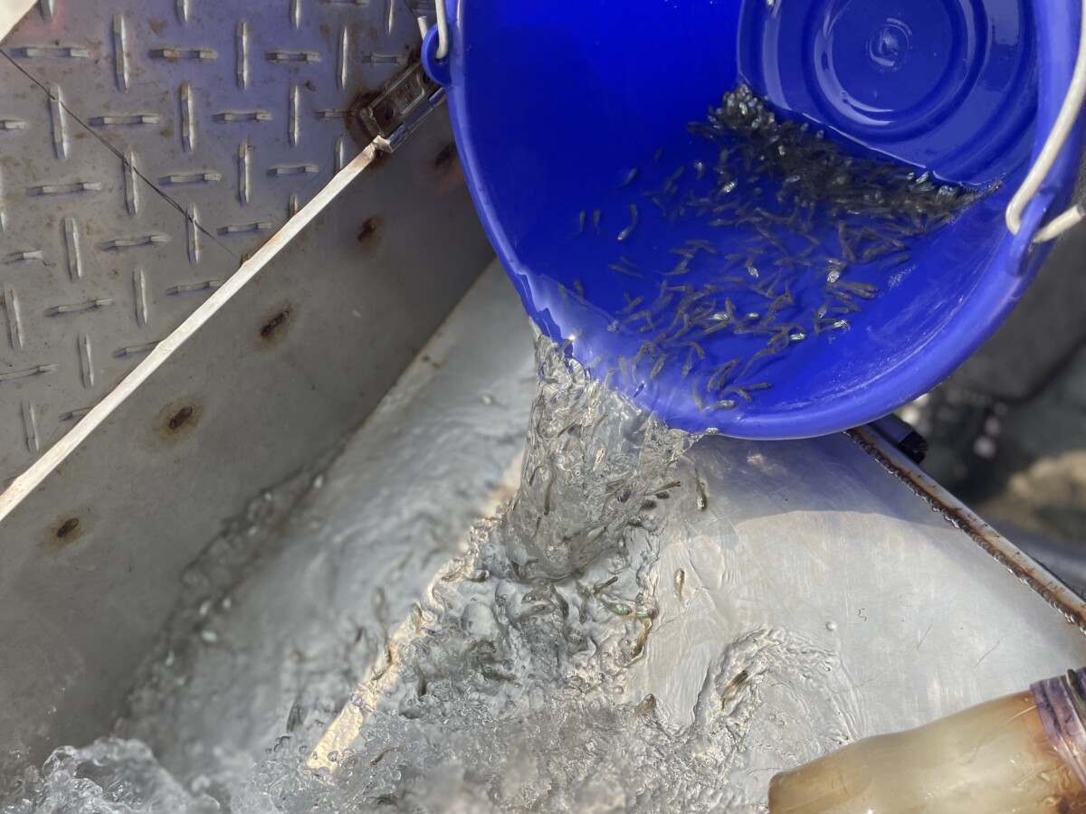 C7feafa520b5f78fc2c86401ab5b10ec