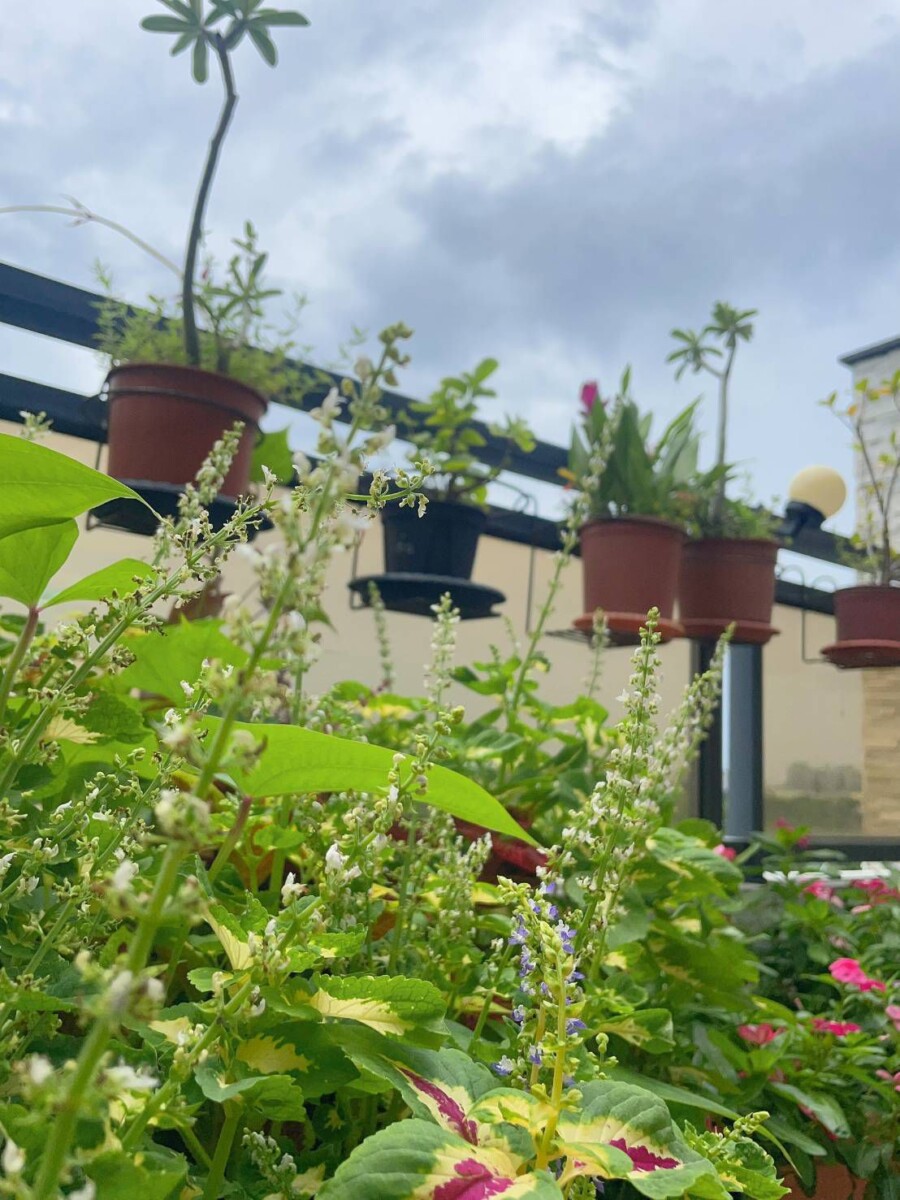 D182961fb37b0e302bdd17c1aebbfe59