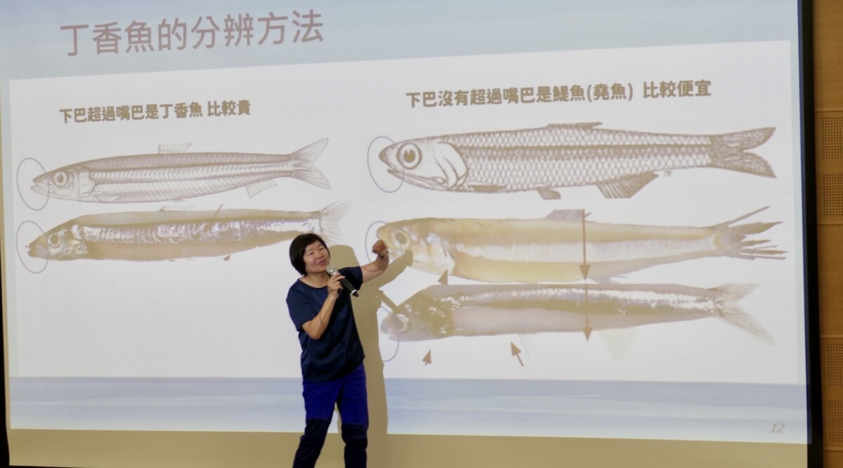 Ec0f136bb88fd7031401c88c03820199