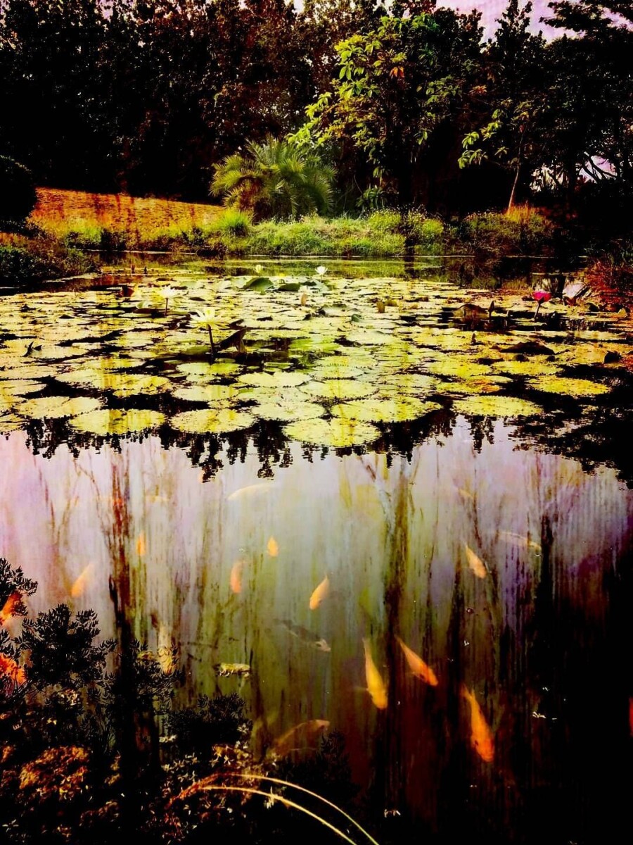 F2ef1b2f190e69cd756f13028c4cb0cb