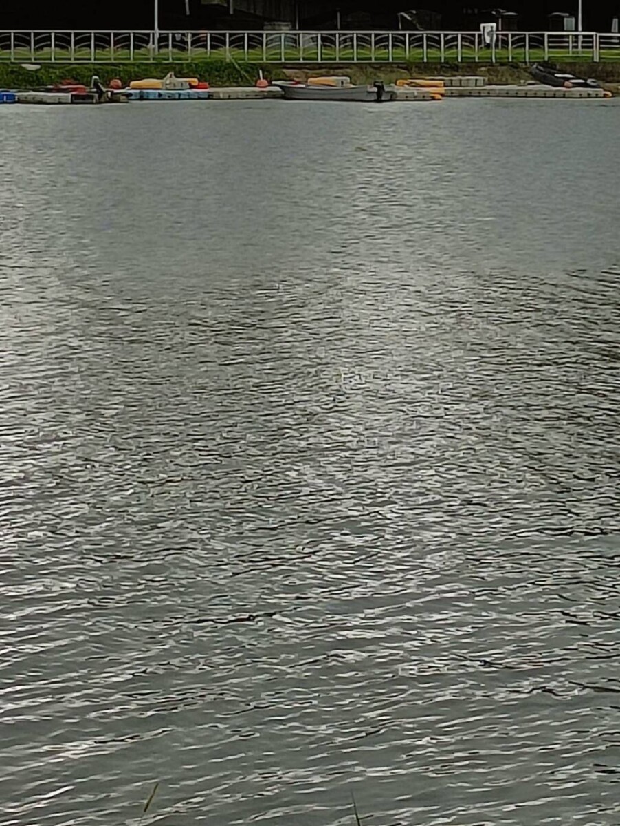 F9b0a9b69f6f163d65b2f66ab2a3e8f4