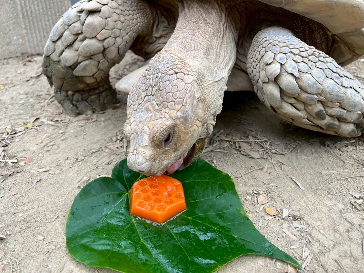 0c71859fca1fa05a54e40dc457efb6c0