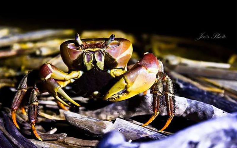 0dab3a8ac6ed9b46ab6cf5c75181c335