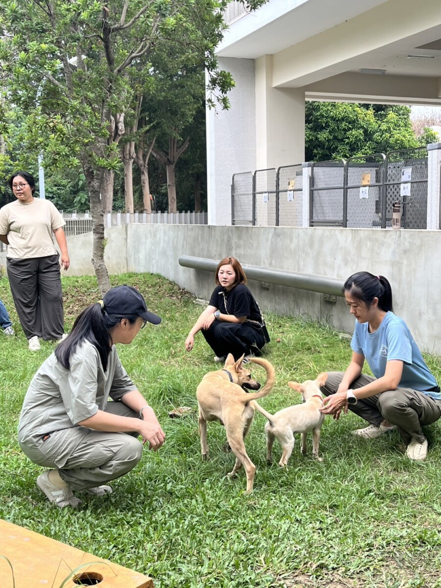 10371f24097292a1d78c2c34a3a63fde