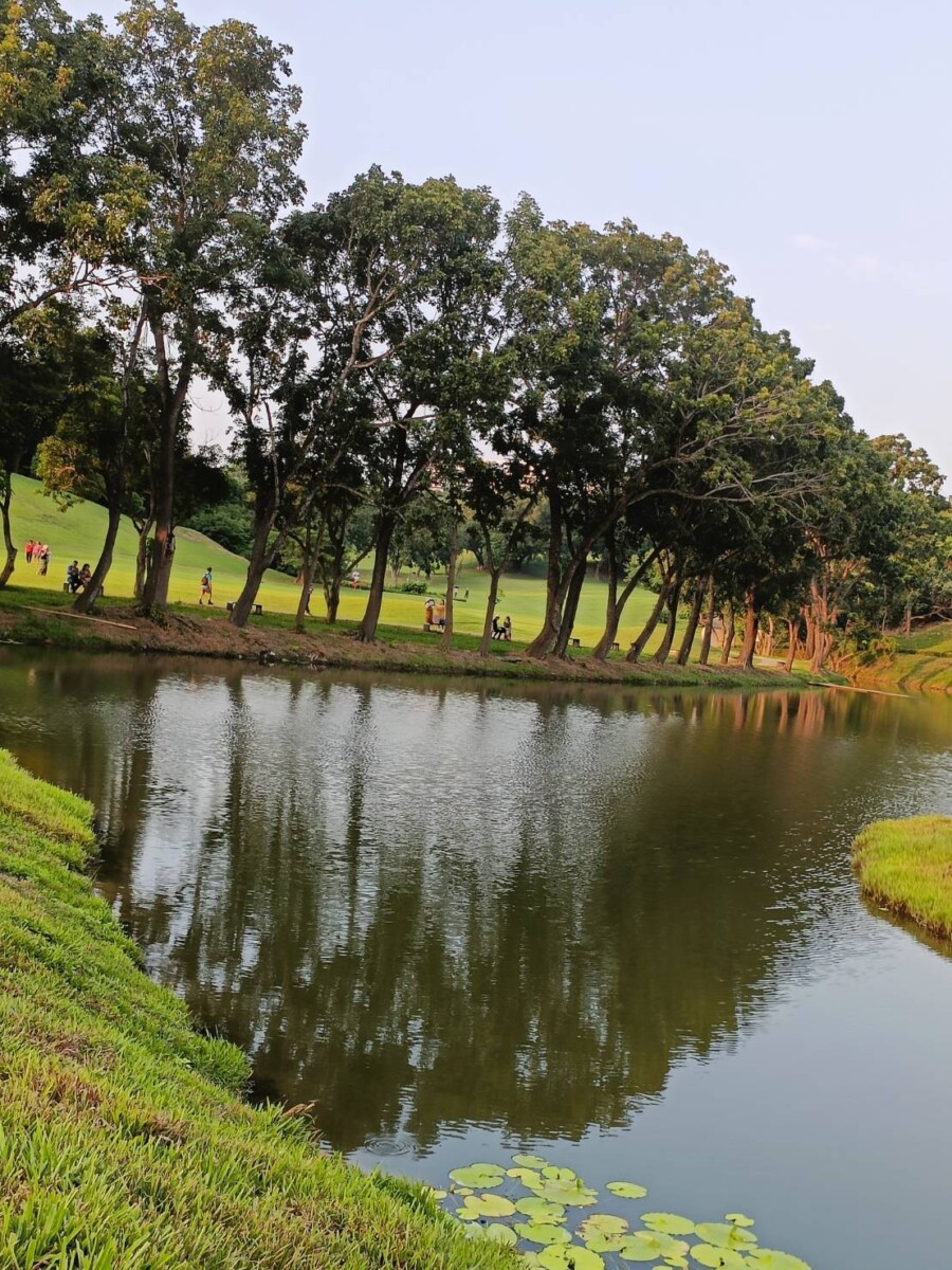 4f40601e8e4339f61ee5287924ea4898