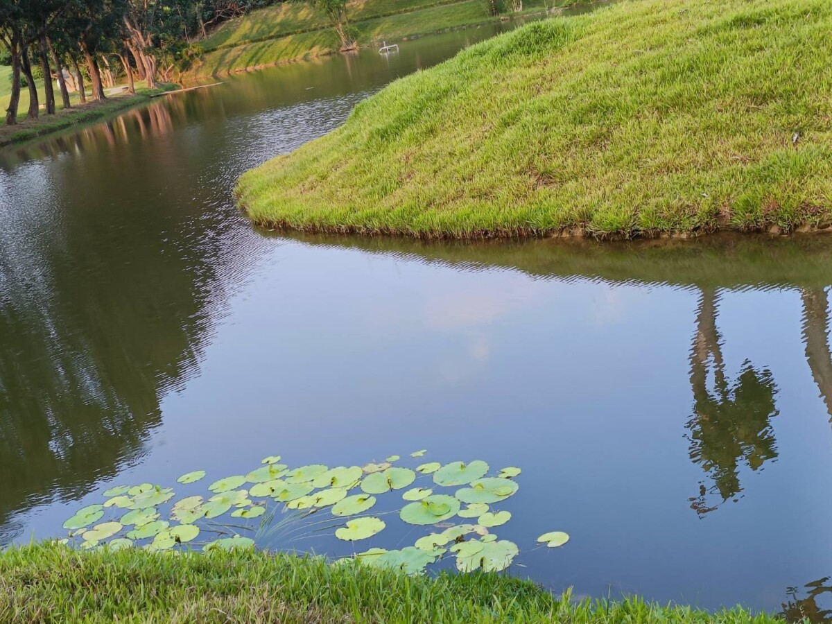 567418ae3caab94107757351d0ca8336