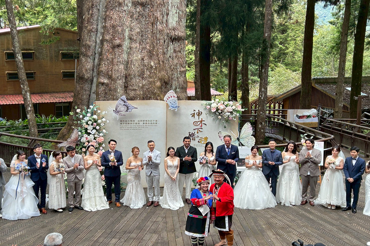 阿里山神木婚禮浪漫登場 新人入住全台最高海拔賓館共度愛戀時光 612bd61c750b43451eddad35c6efcb67
