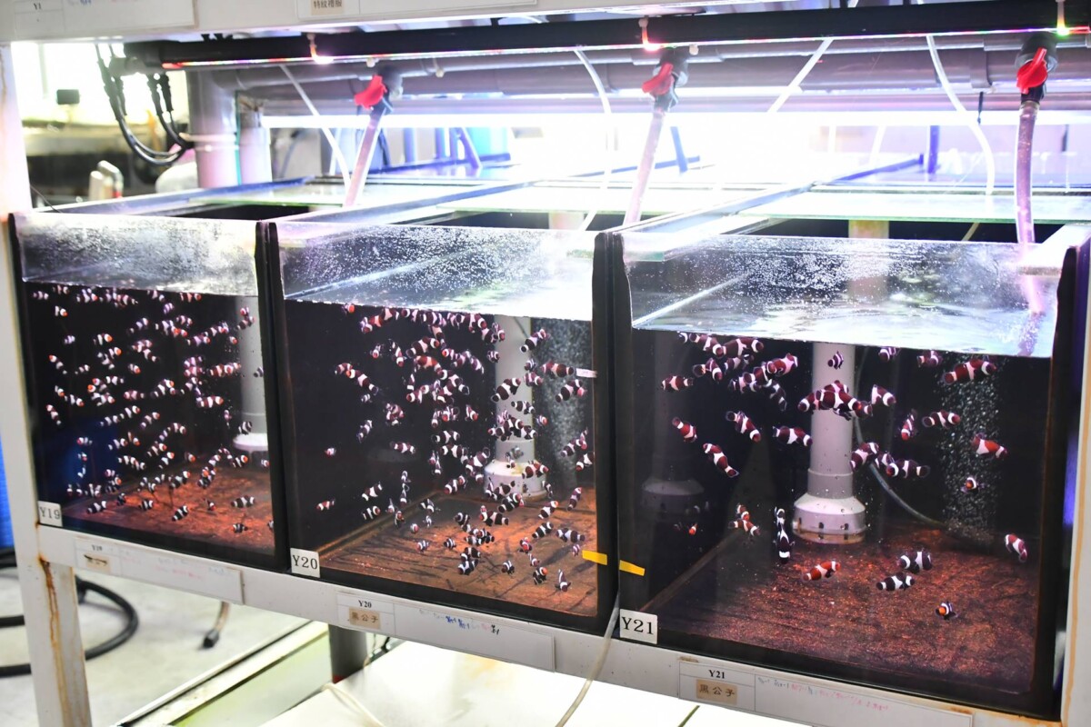 6a008b6095325e3bca5a8f03b6f5f181