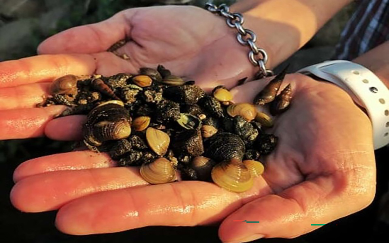 6c6defe544fb8c60841eb47079a09ff0