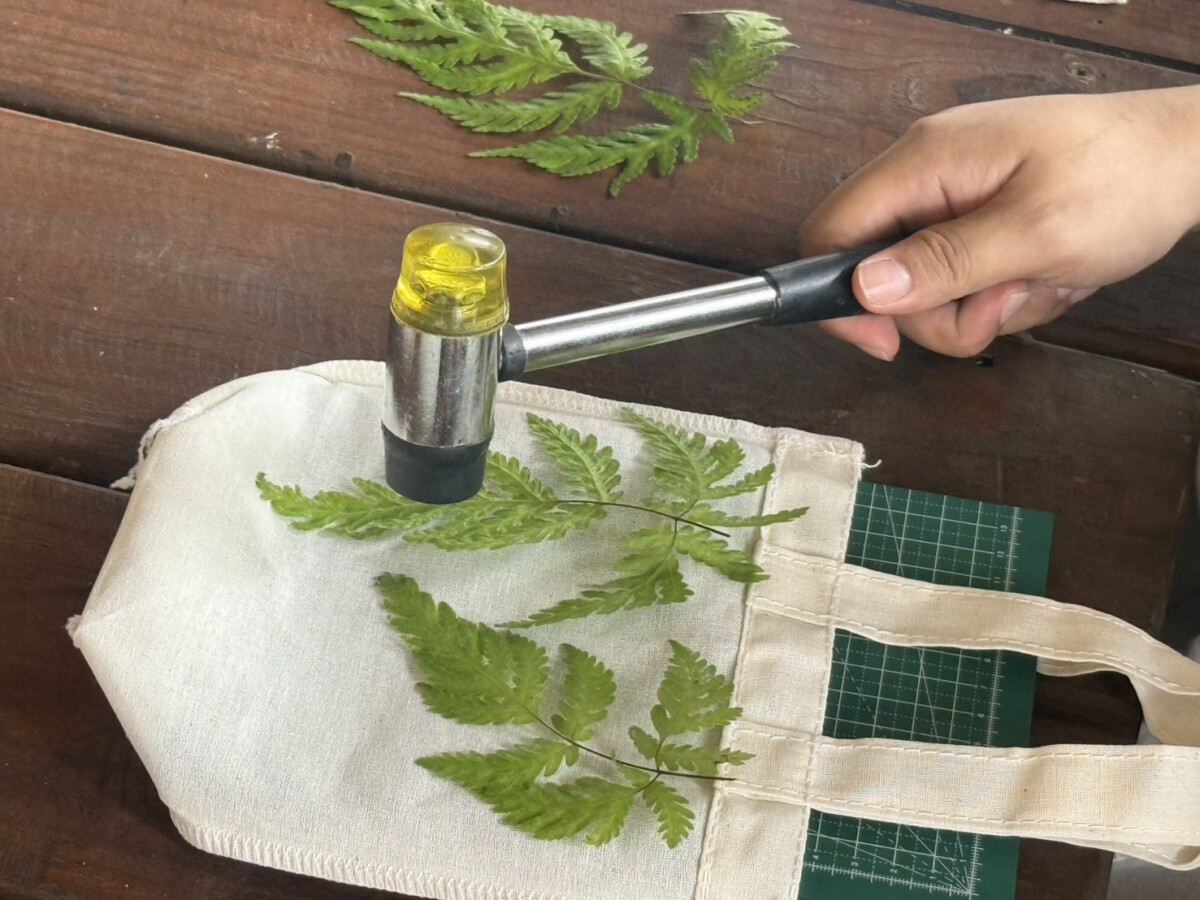 72bde8cb94734de56a40dd32948ce8d5