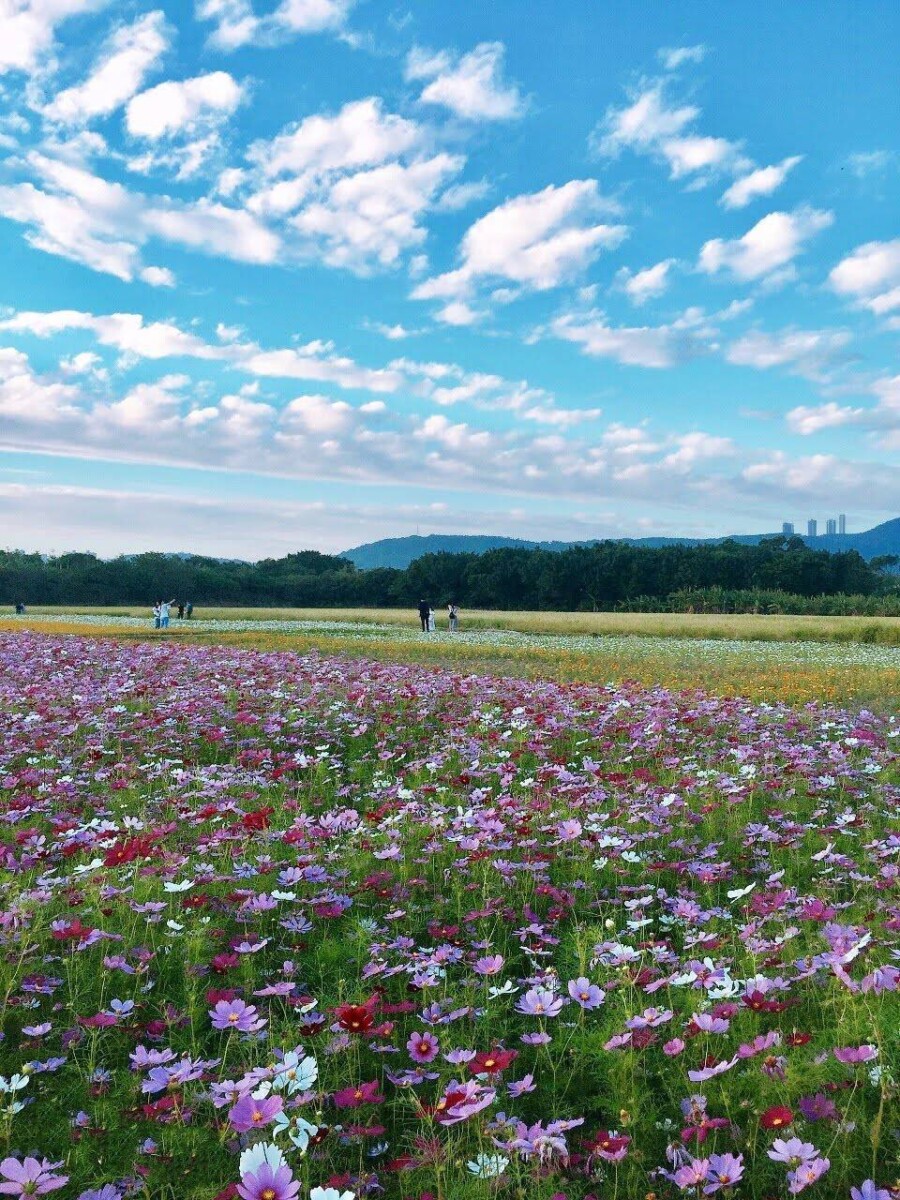 8d8357f0213c3f7e3ca4460174d90fb4