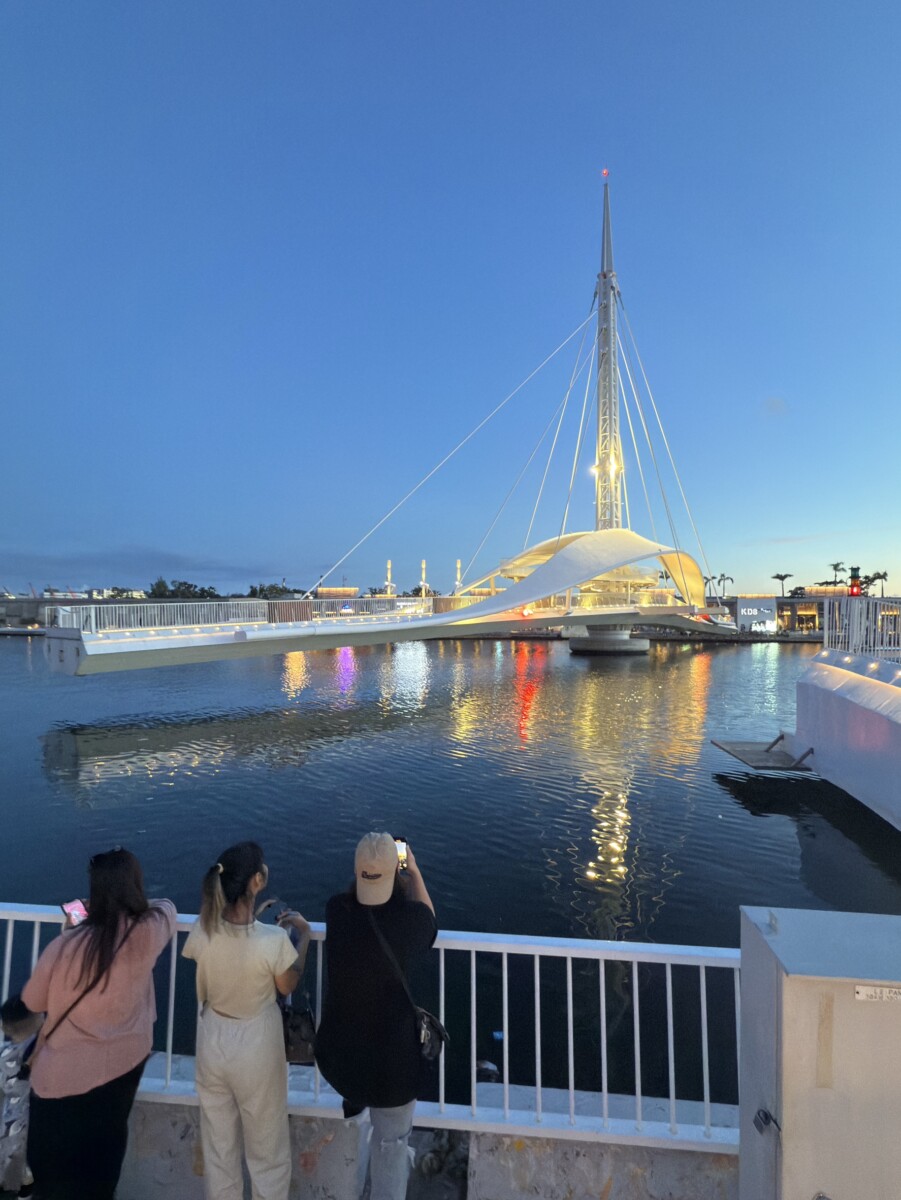 8ddf5271c0d1c53dbf6b1abd011d5a34