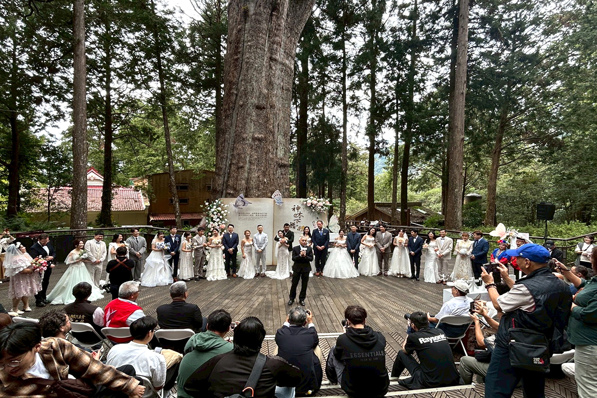 B706043cd0107cbcf1eeed74a4588ddd