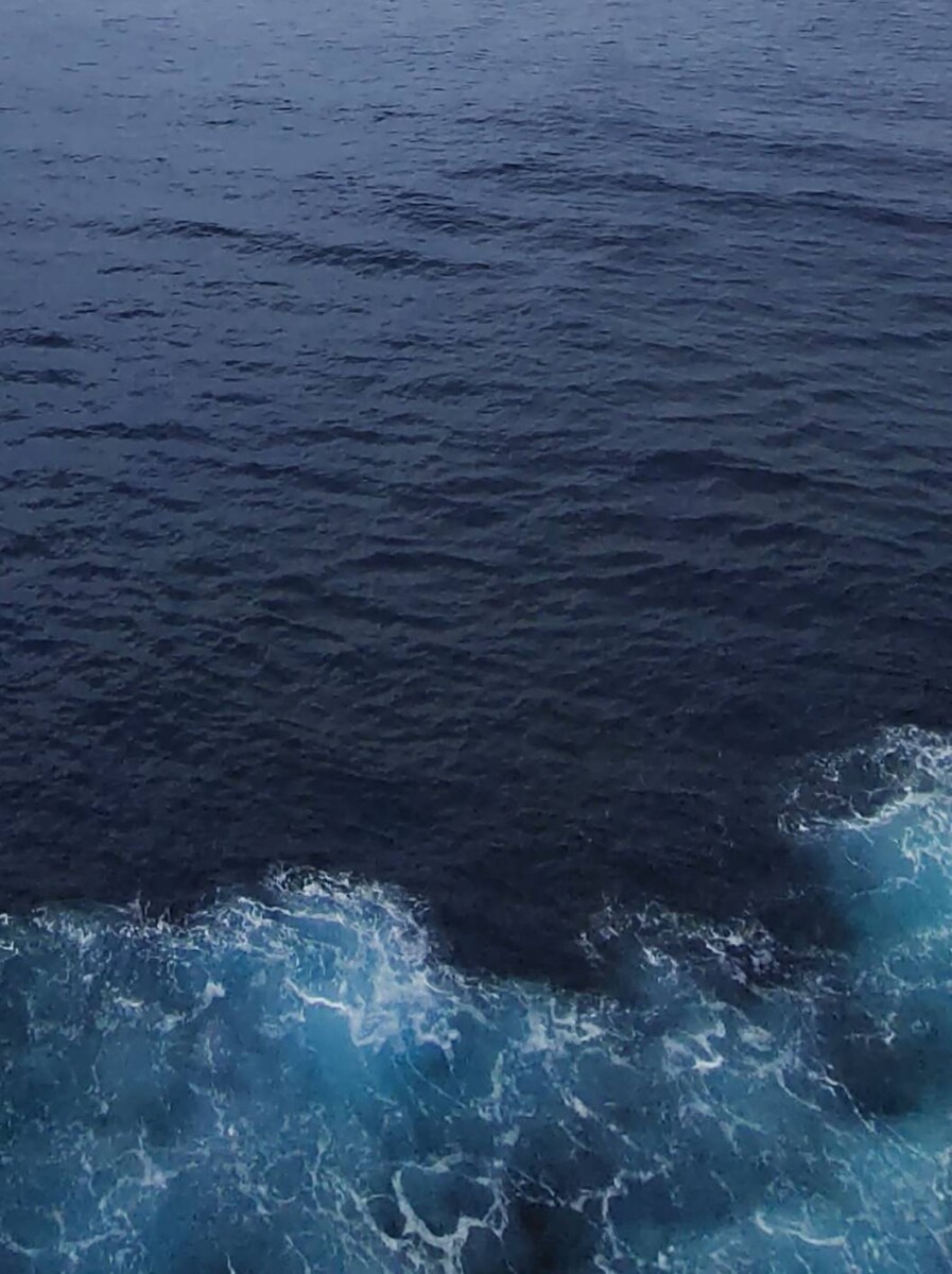 Cf832cd9f5007a157c9da33f2fcdff4f