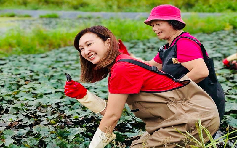 Ec710bb335e9563ec3d8964d19737e75