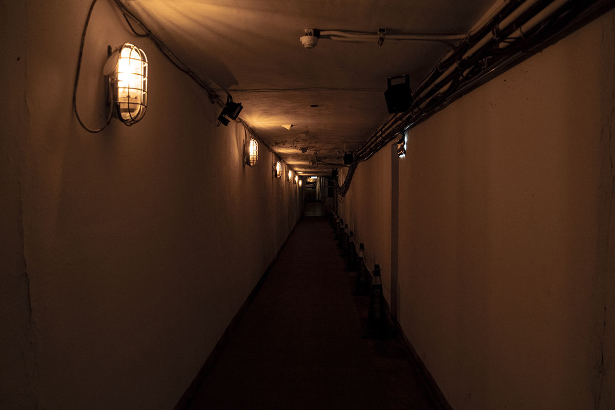 Ee758cd91186600a5d81dd37e12a7a22