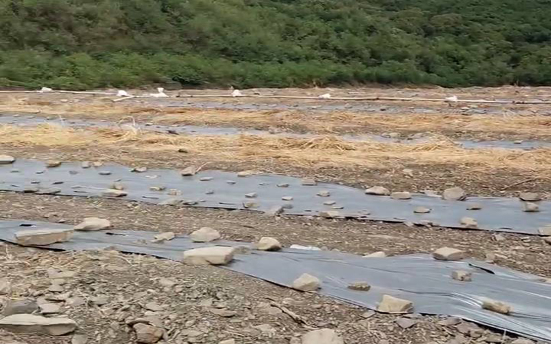 Fc32d3d0b72cfff7e5df737227809a01