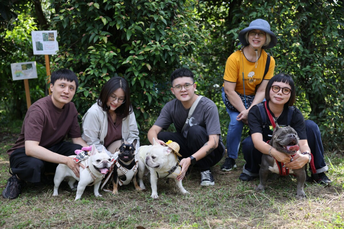 農村體驗升級 汪汪田間隊出任務 15隻狗狗化身地瓜小幫手 0f3010163ef25d49dd52e942dd49dcb1