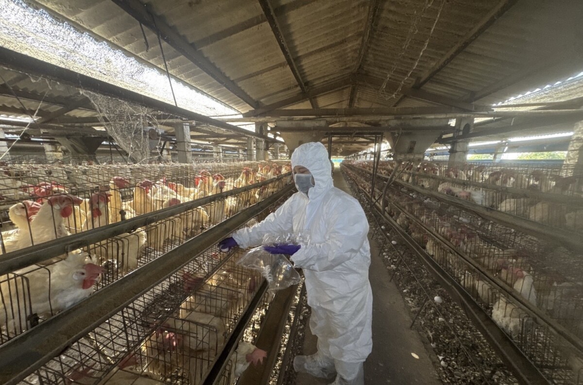 6f4d6db6631b9ca9f4adcbb91510e610