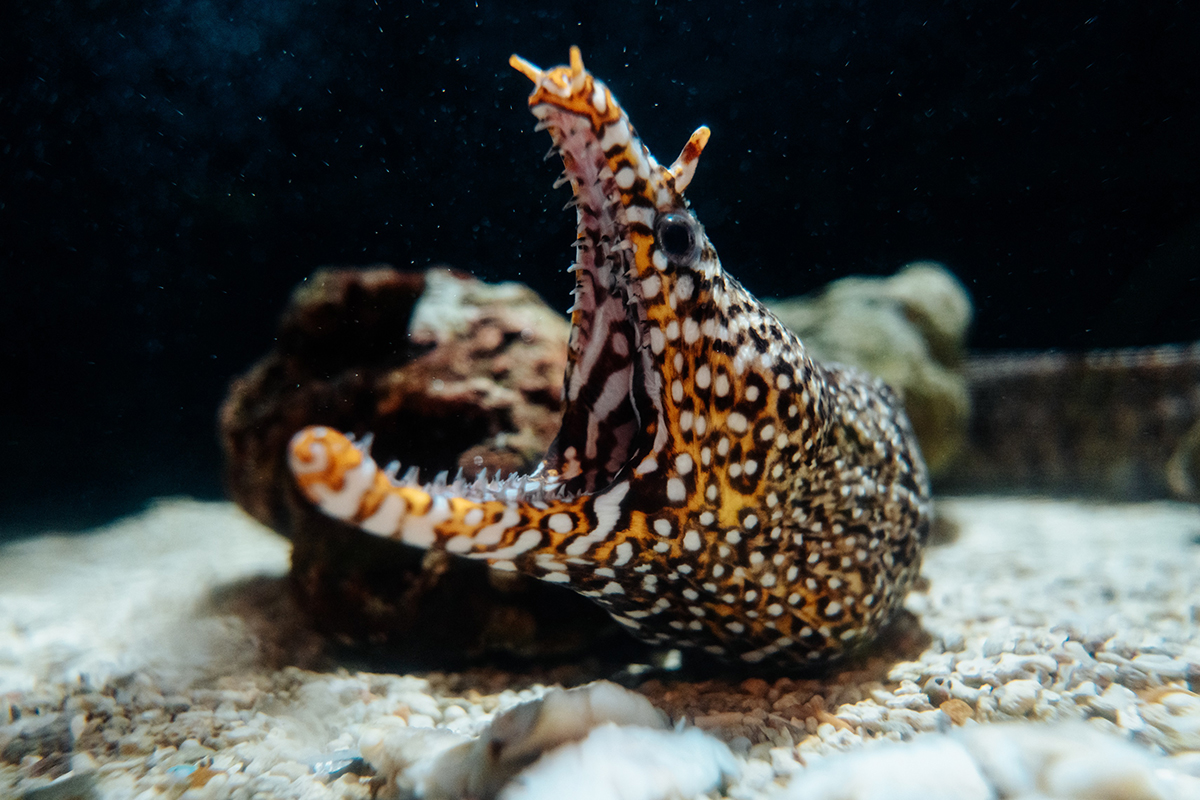 74d7e2188fae75485804279a044d283e