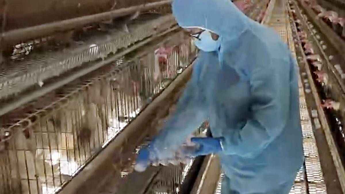 C07e0f07048e871f6f17054f1a02b18c