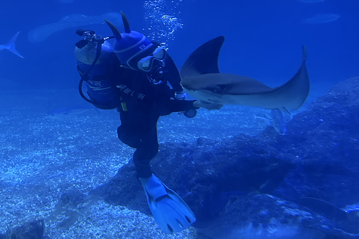 Ddd2fc150aba39482fa4becebee9c134