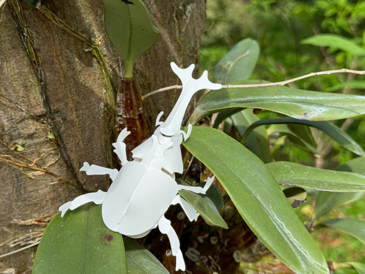 Fdebf80e532c333b912db520482a8b5a