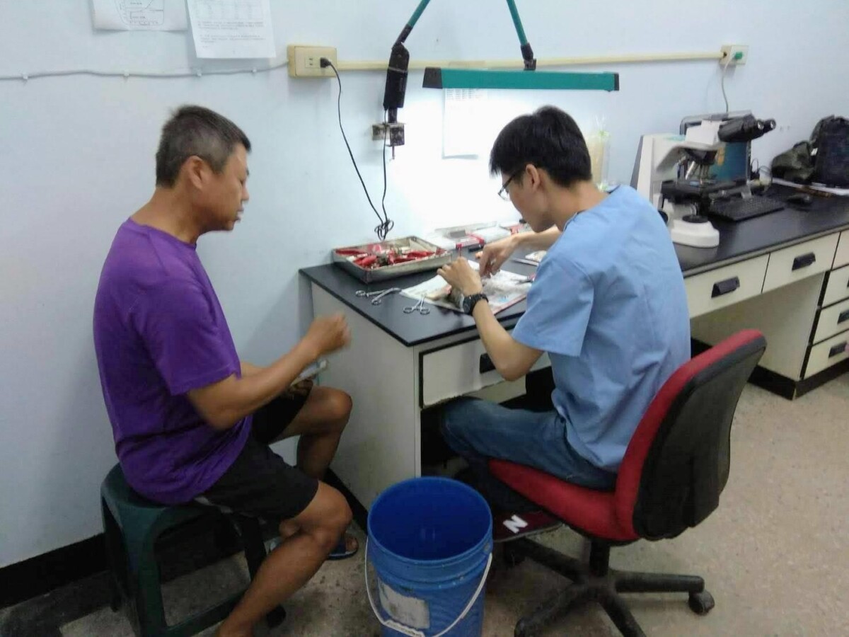 A1231高市動物疾病檢驗成效卓越3