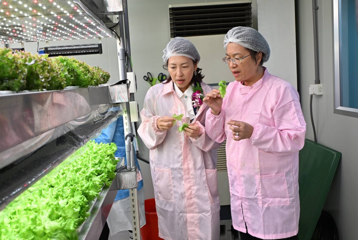 彰化首家全環控水耕蔬菜業者 蔡季科農有限公司正式開幕02