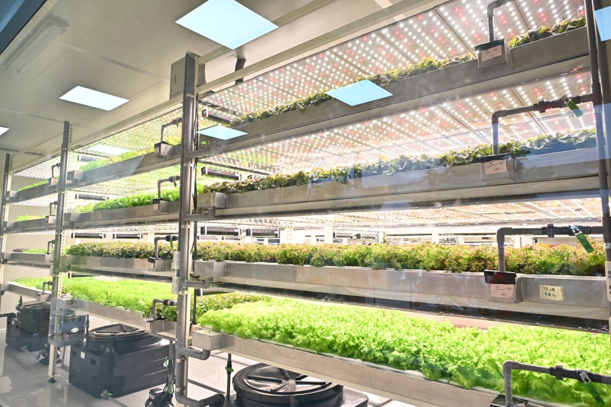 彰化首家全環控水耕蔬菜業者 蔡季科農有限公司正式開幕03
