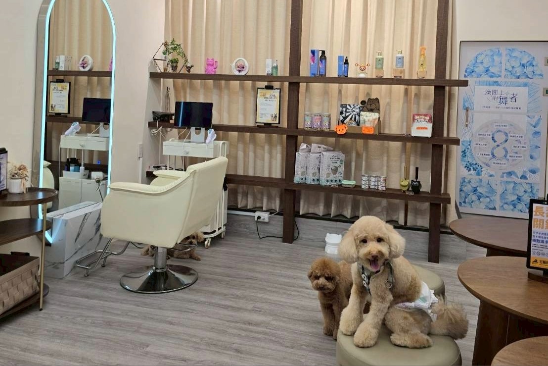 ▲毛時代寵物美容毛恩新田店，店內空間以主人與寵物共處為設計，結合等候區與開放式動線，讓毛孩在熟悉環境中完成美容流程。(圖/毛時代毛恩新田店提供)