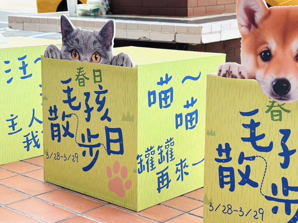 A8ab61c7e3702eb68bd3f3a51b61fb2e
