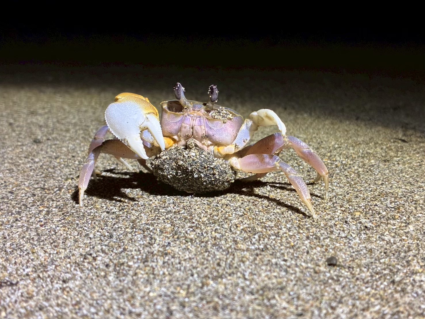 5c681d36e2c4478a613d4a2045f0465e