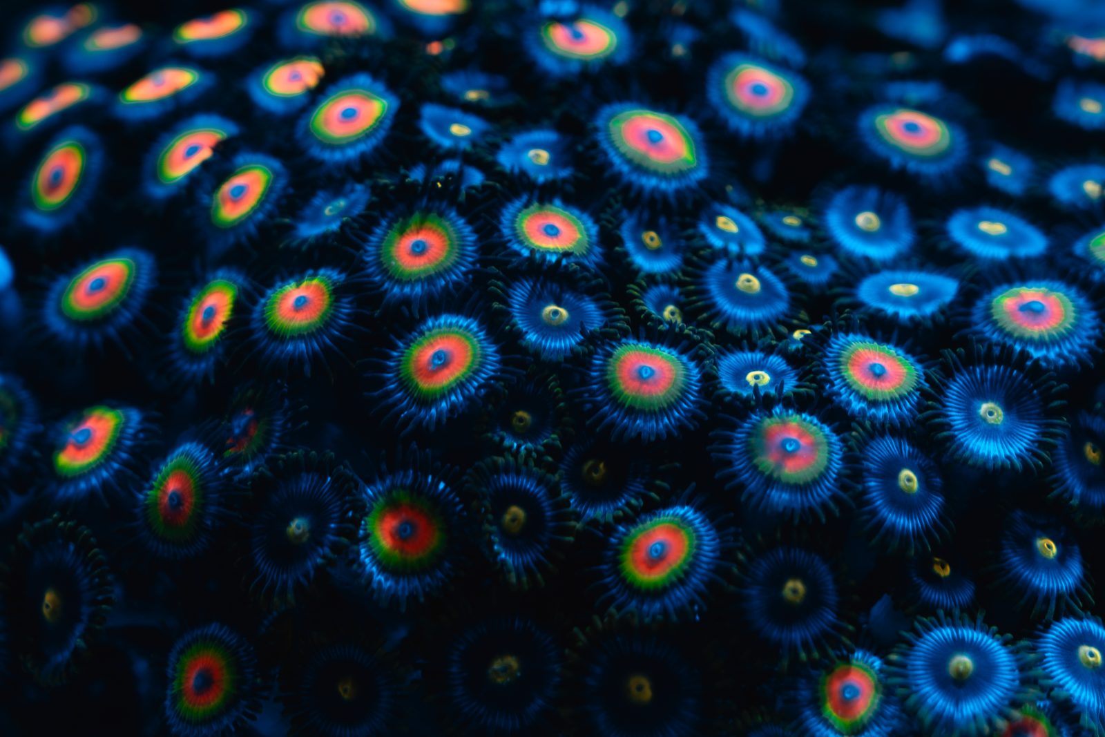 4d8028c0c22c9f314e8b207490798323